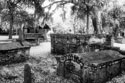 Tolomato Cemetery, St. Augustine, FL